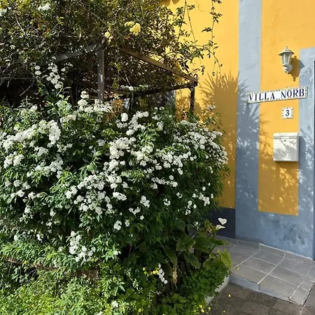 Casa Norb Апартаменты *