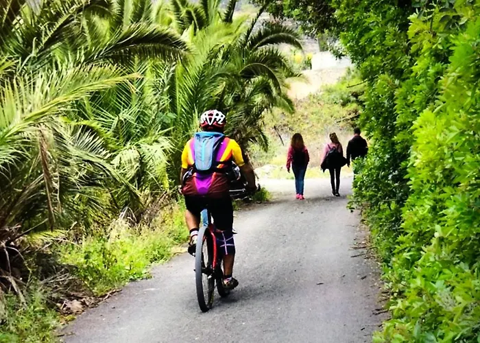 Casa Norb Appartement