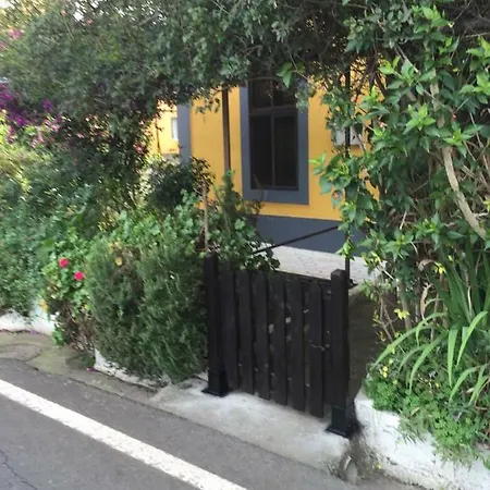 Casa Norb טרור
